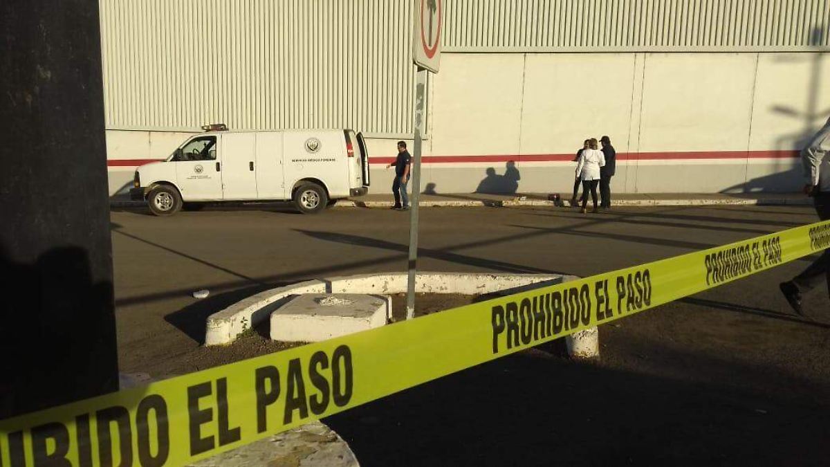 Localizan Ejecutado Una Persona En La Colonia El Palmito El Sol De