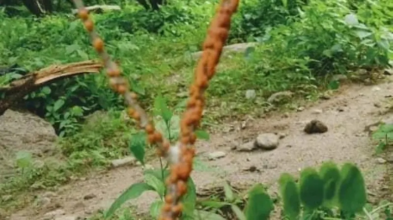 234773622 4325318137557194 6425158951729738786 n