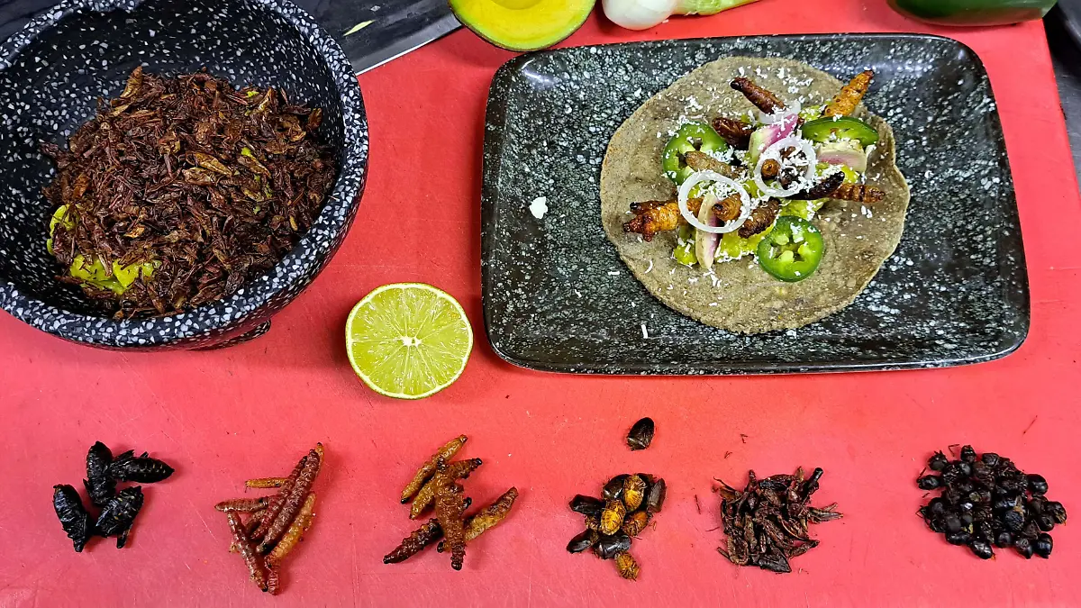 platos
