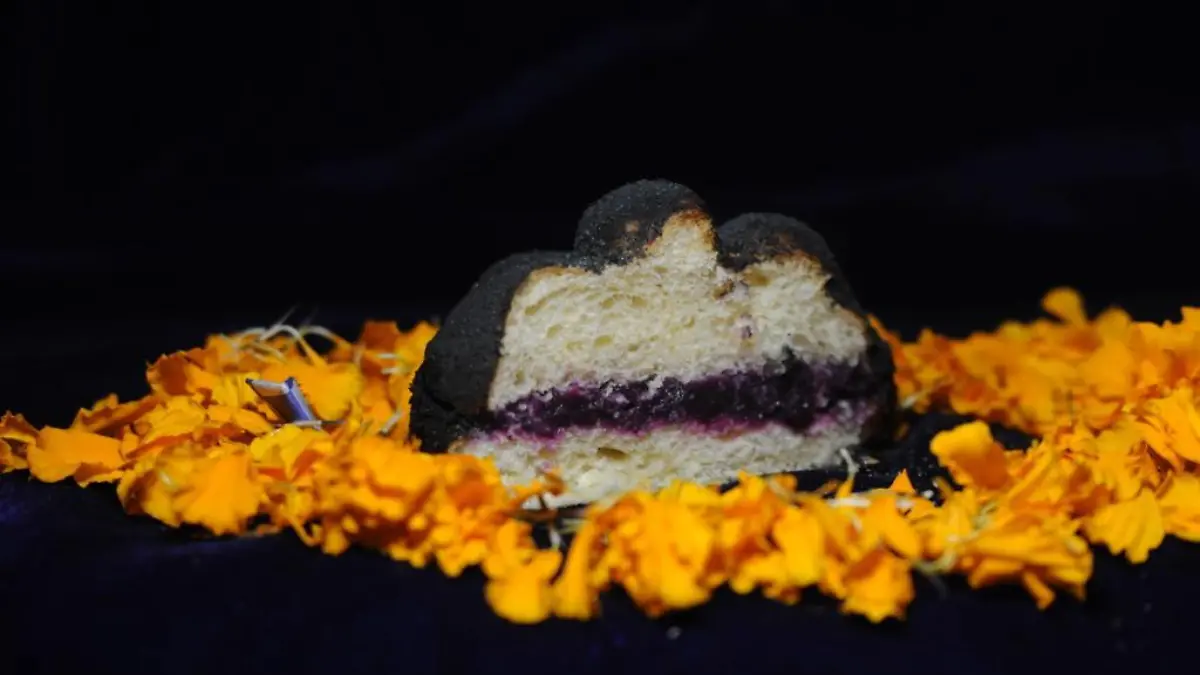 WhatsApp Image 2023 11 01 at 12.24.39 PM 1