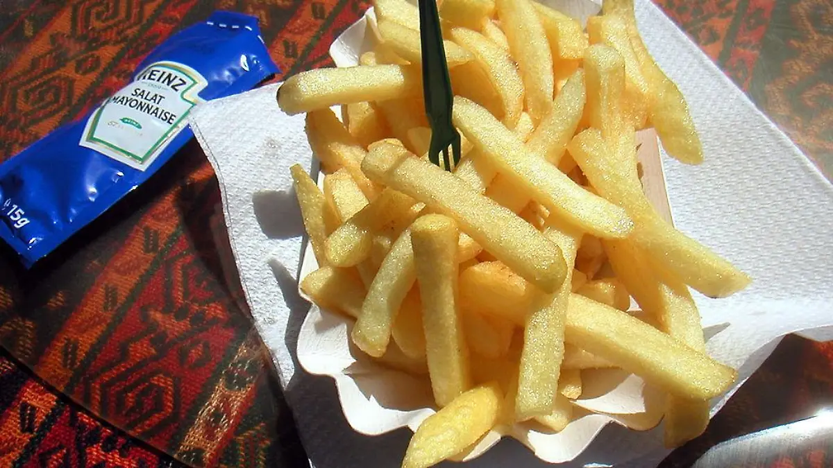 1024px Flickr   cyclonebill   Pommes frites med salatmayonnaise