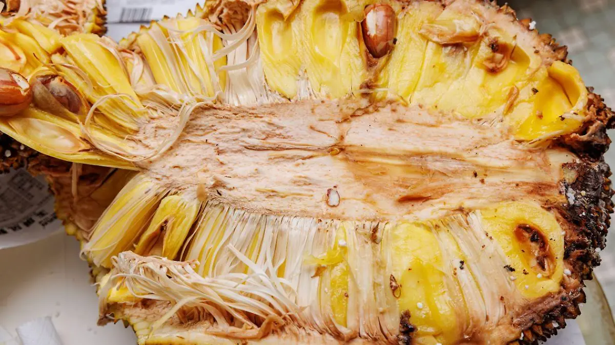 Artocarpus heterophyllus Fruit 2 123