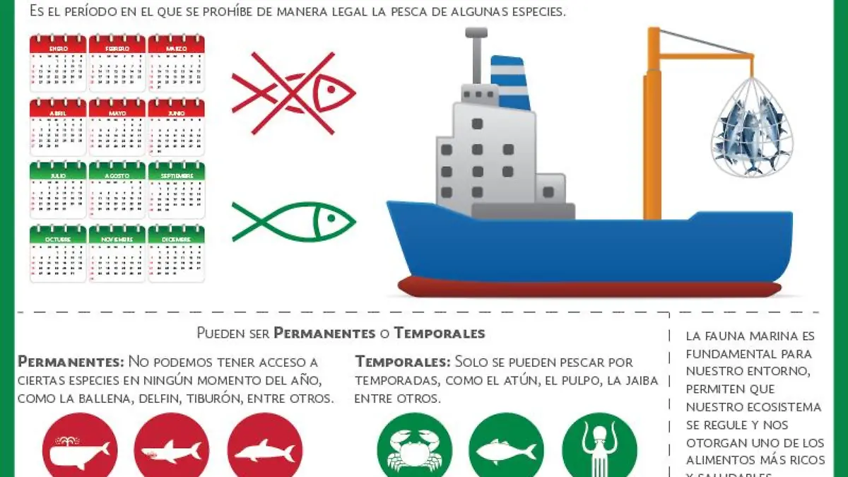 Infografia Veda Marina