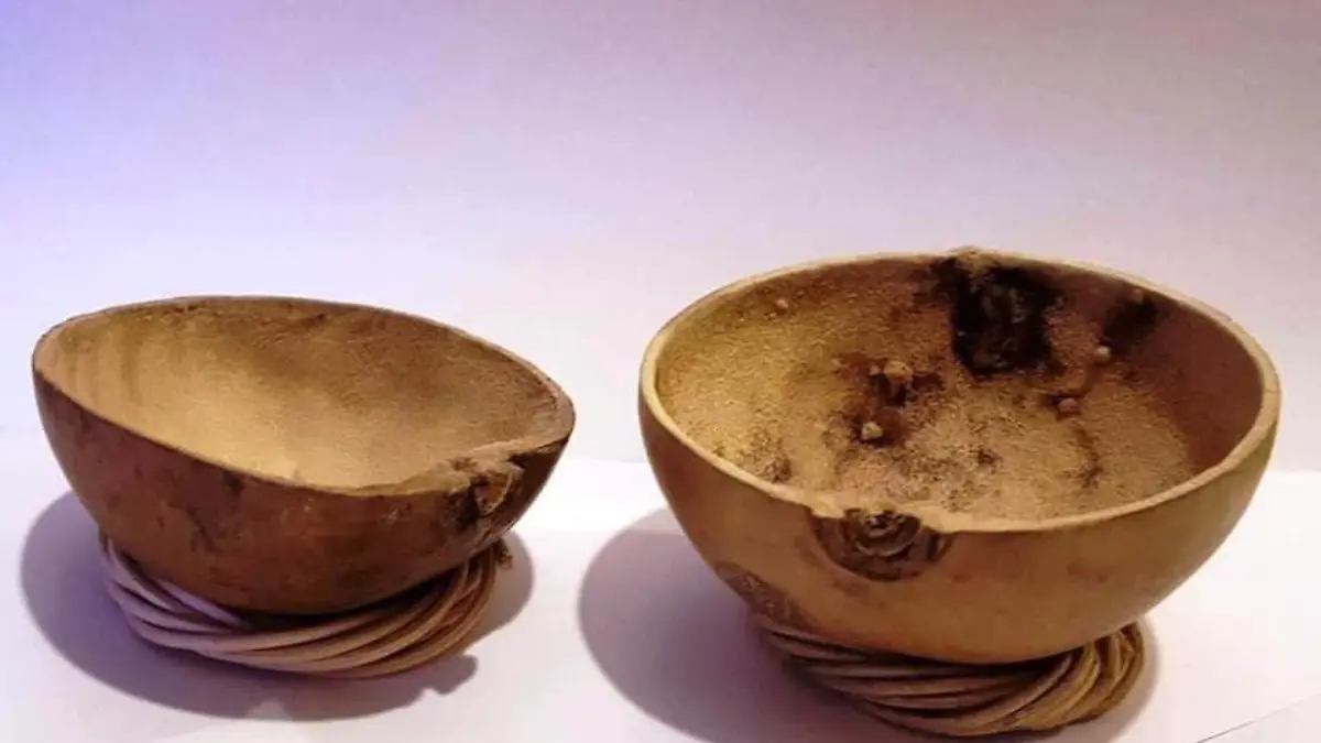 52782425 2161434467254433 4010957910627581952 n