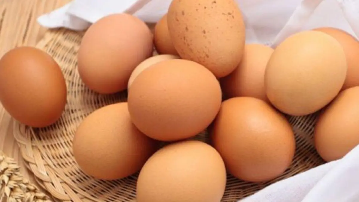 2 Alimentos para la memoria