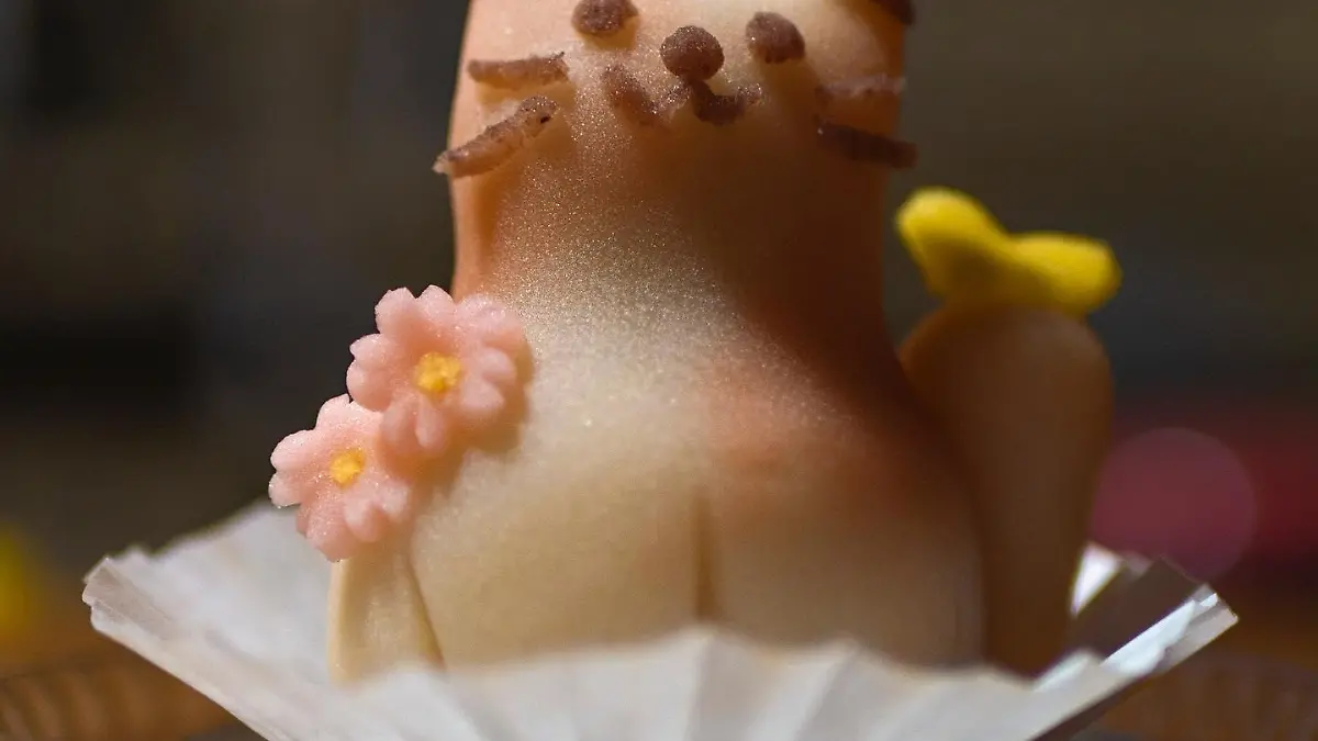 351526068 667465088552879 5913023845402120525 n