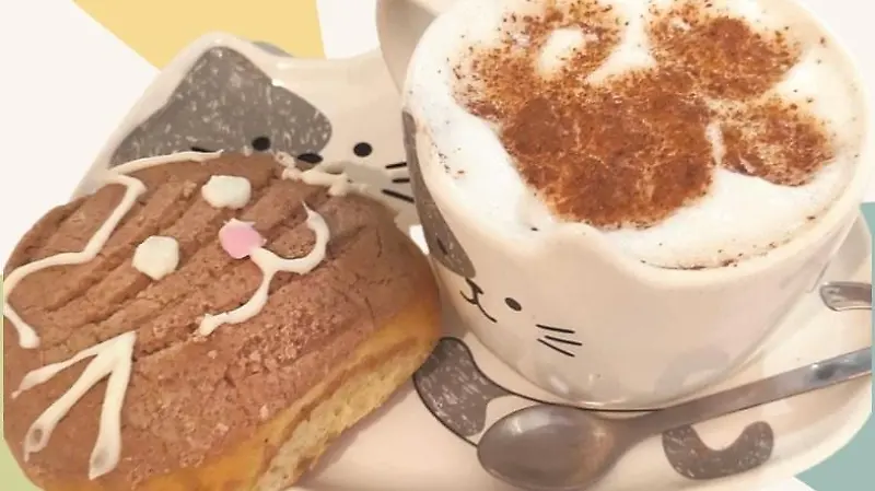 309637945 422889556626805 6852045382047515277 n