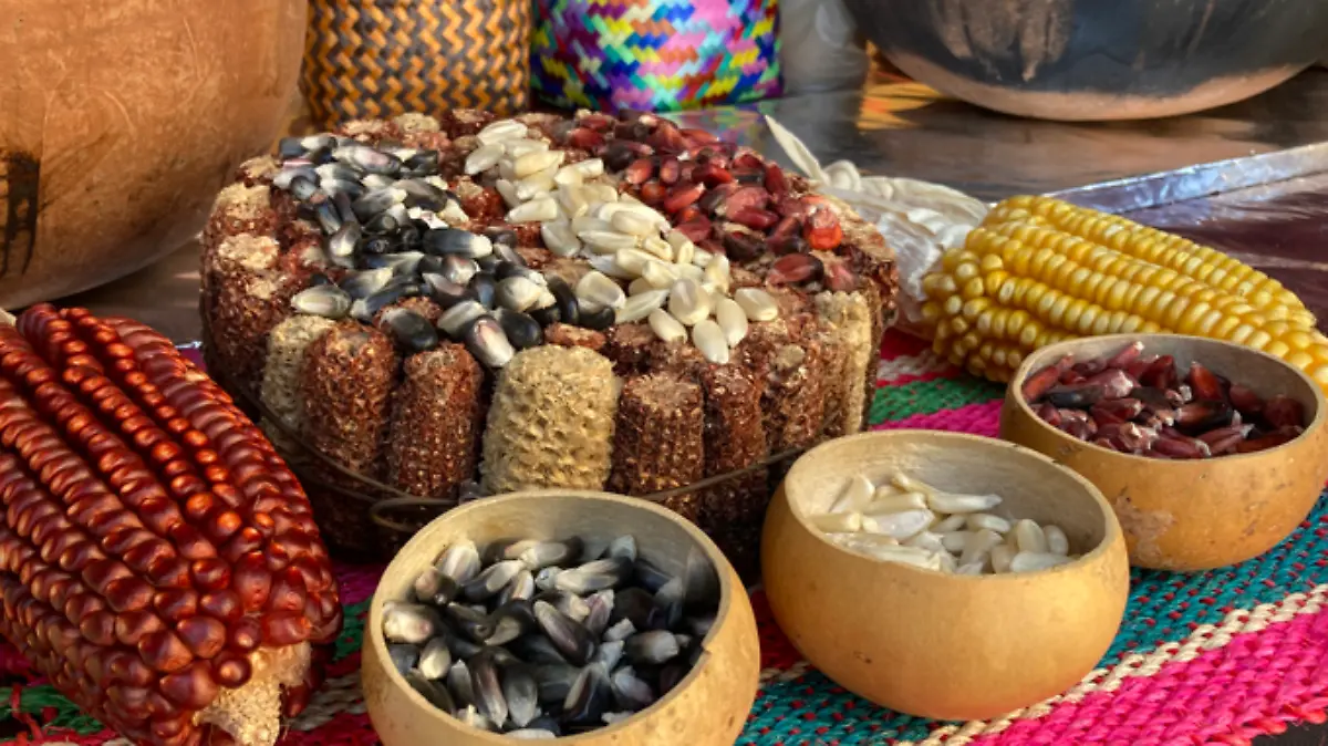 Captura de pantalla 2023 09 19 182830