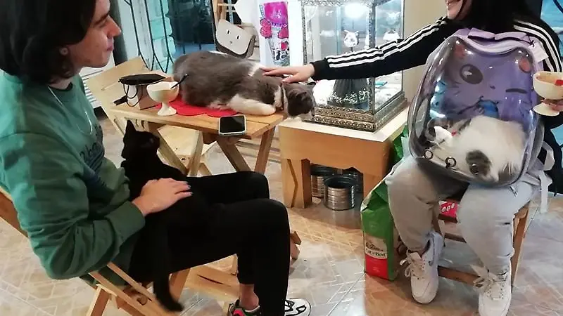 259382912 2145874158884325 8960644861405319896 n