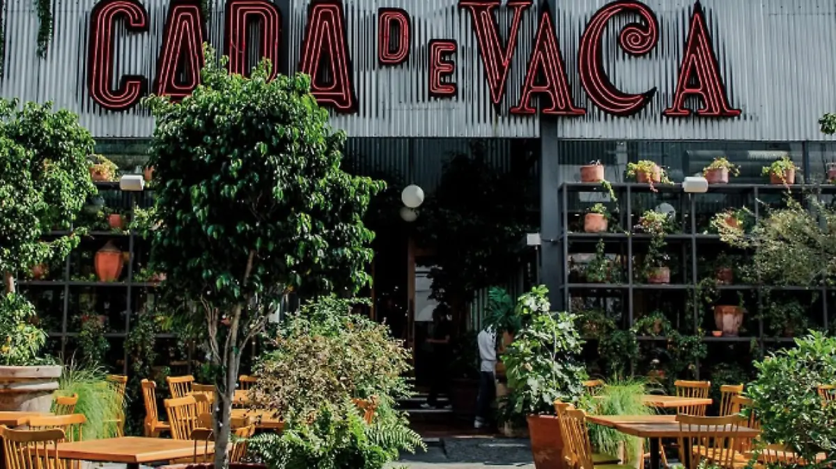 Captura de pantalla 2023 07 25 a las 11.25.03