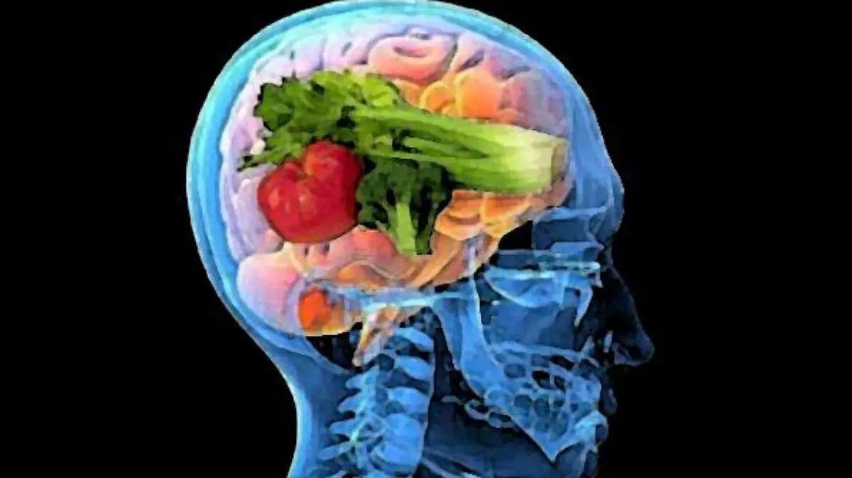 cerebro comida