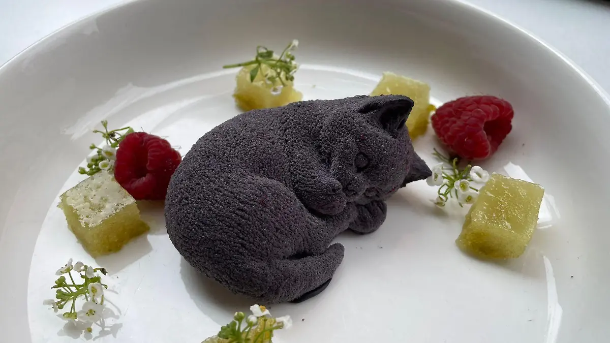 308983973 503068671827395 5682564144299274640 n