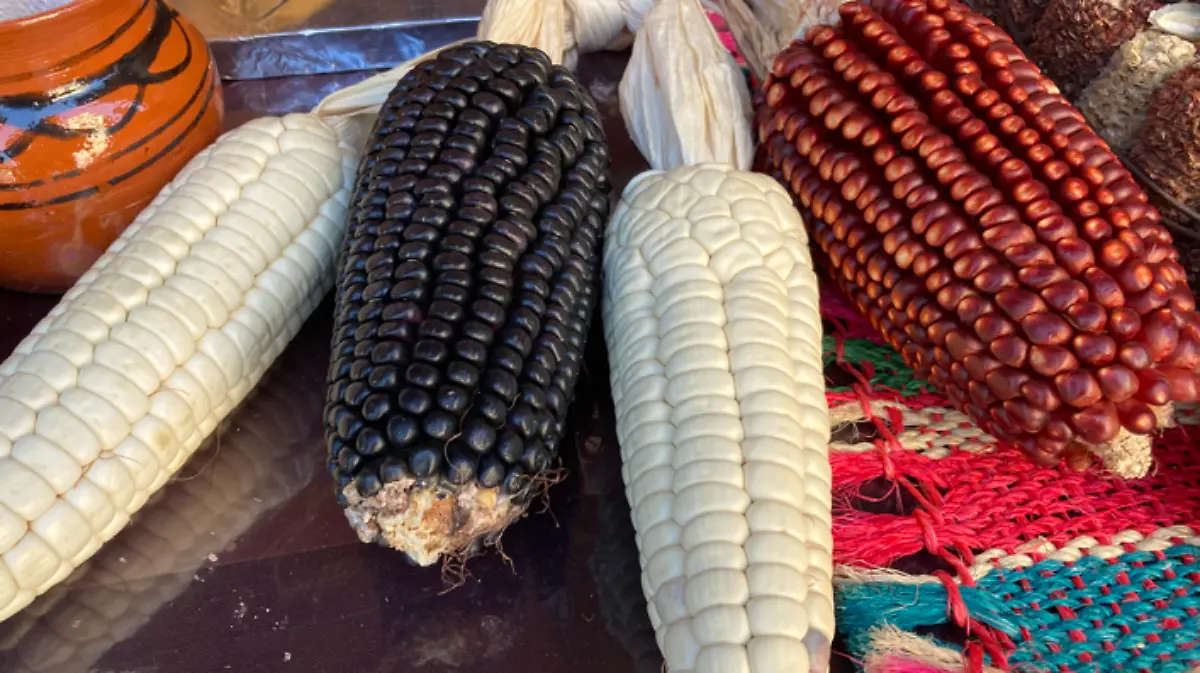 Captura de pantalla 2023 09 19 182614