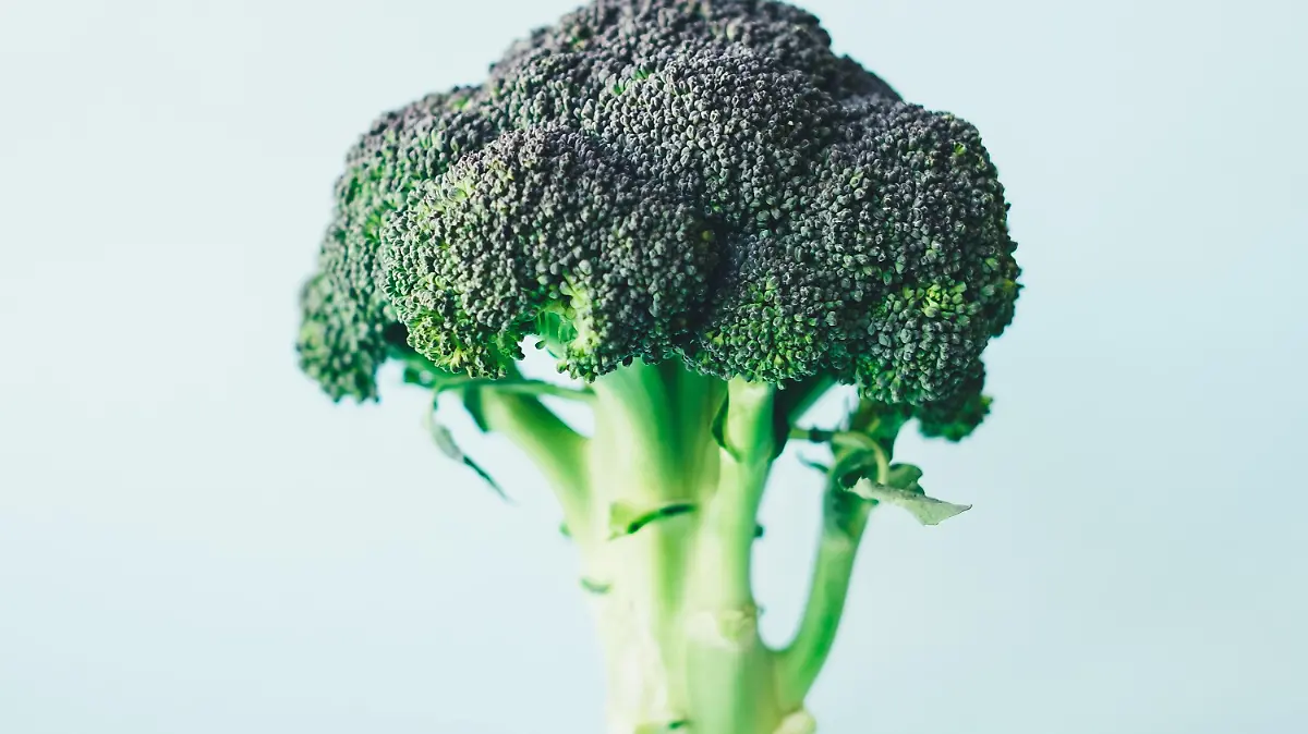brocoli annie spratt m1t RJ1iCIU unsplash