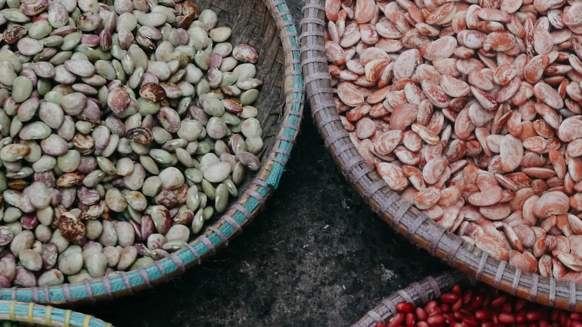 tr n toan YVBCaor1PLY unsplash