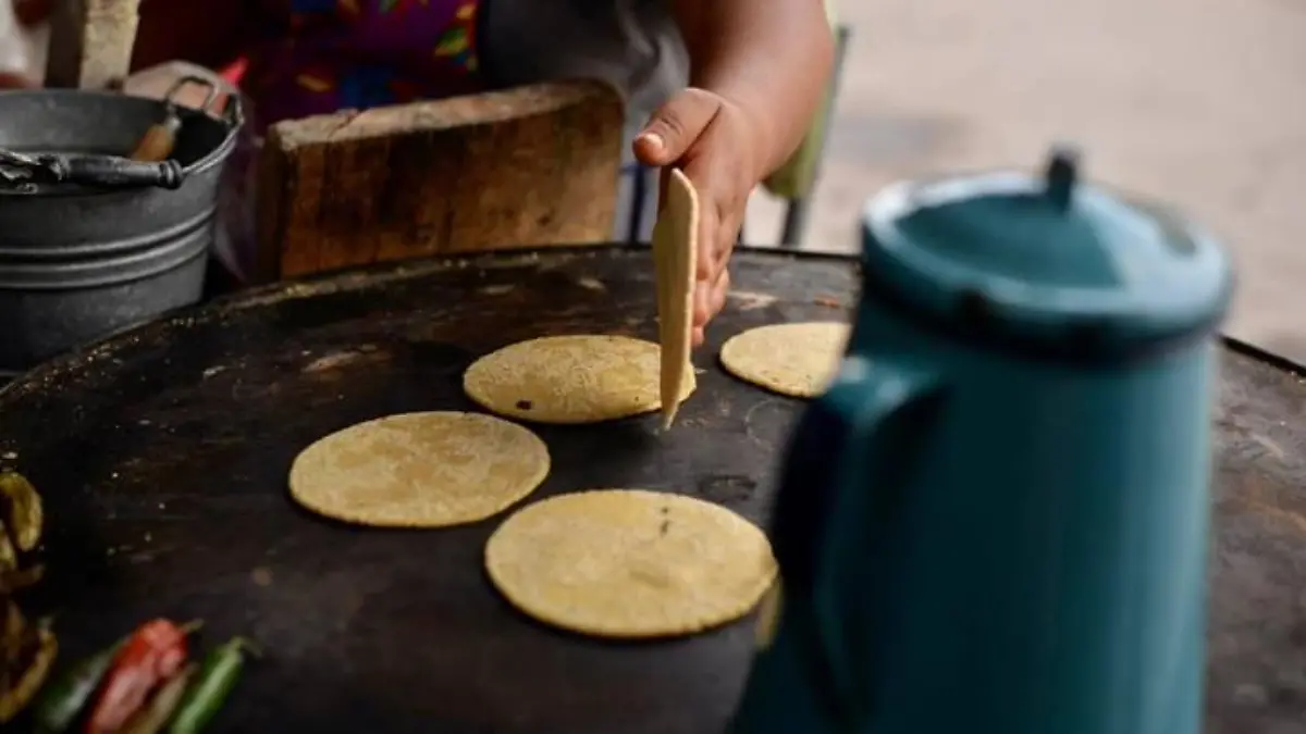 Gorditas de maíz verde 7