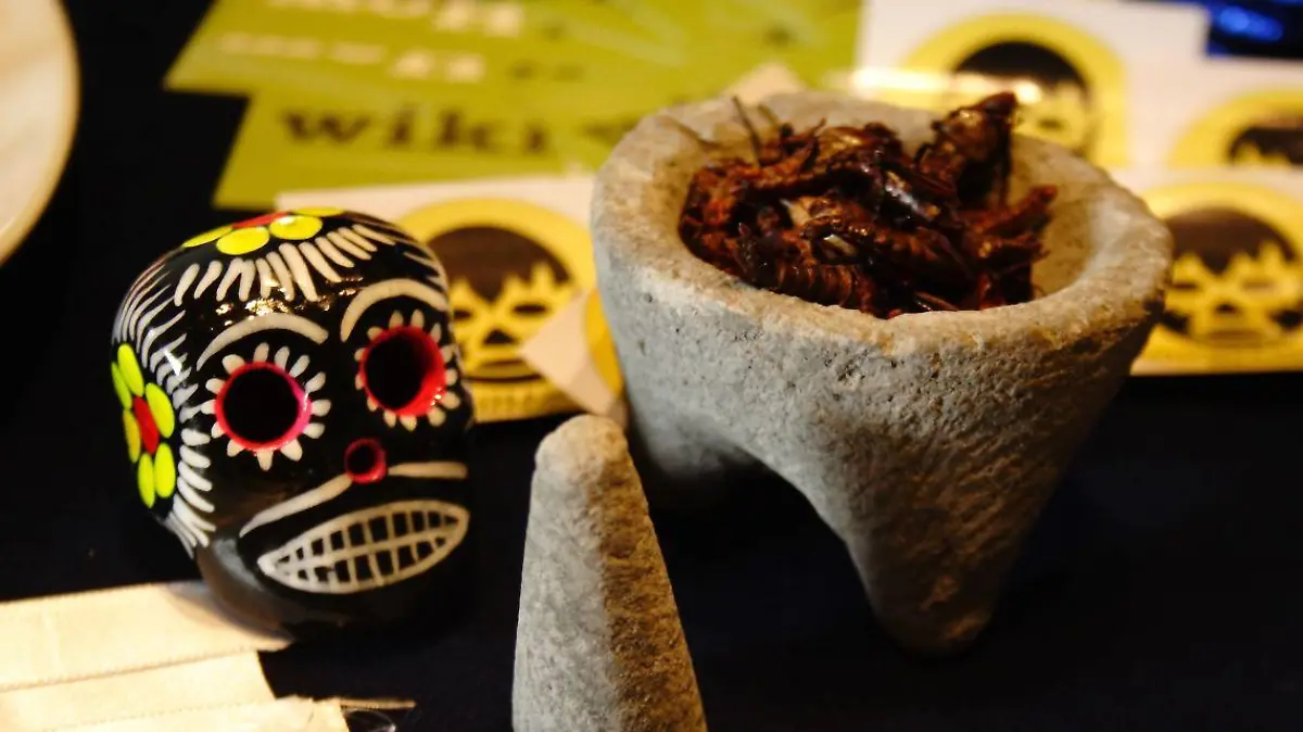Mini molcajete y craneo decorado 123