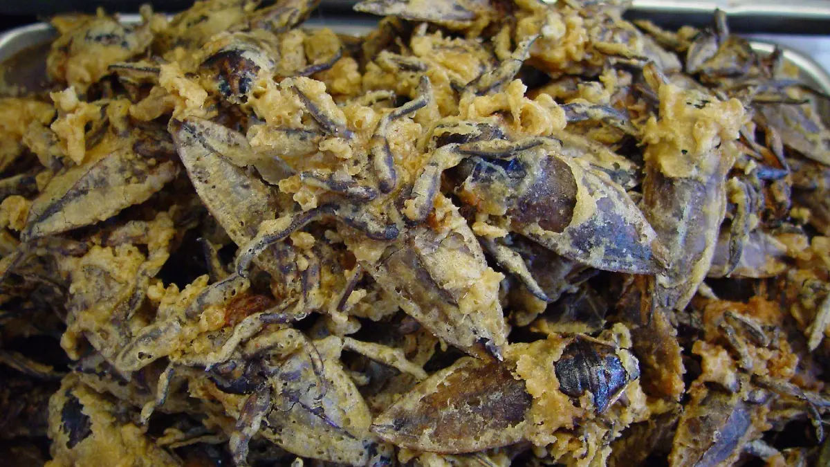 56687803 b250c4d797 o 1