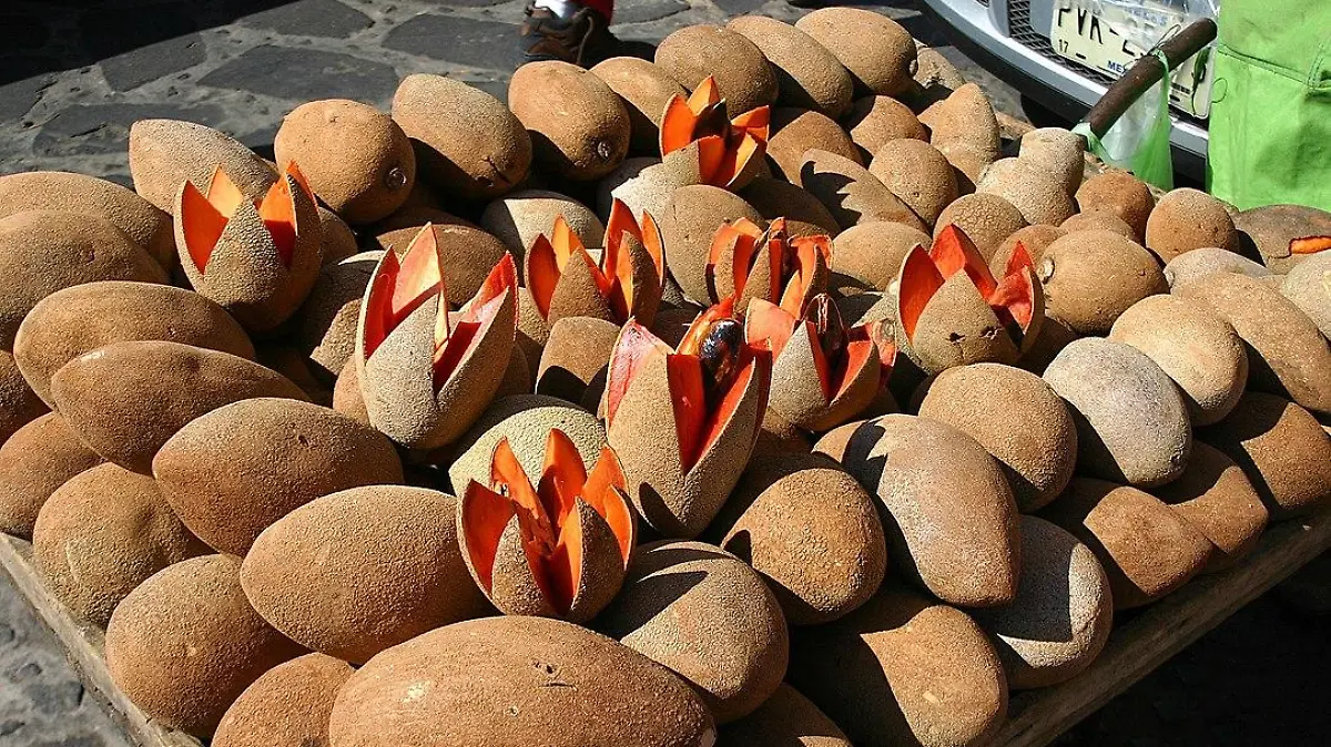 1084px Mamey