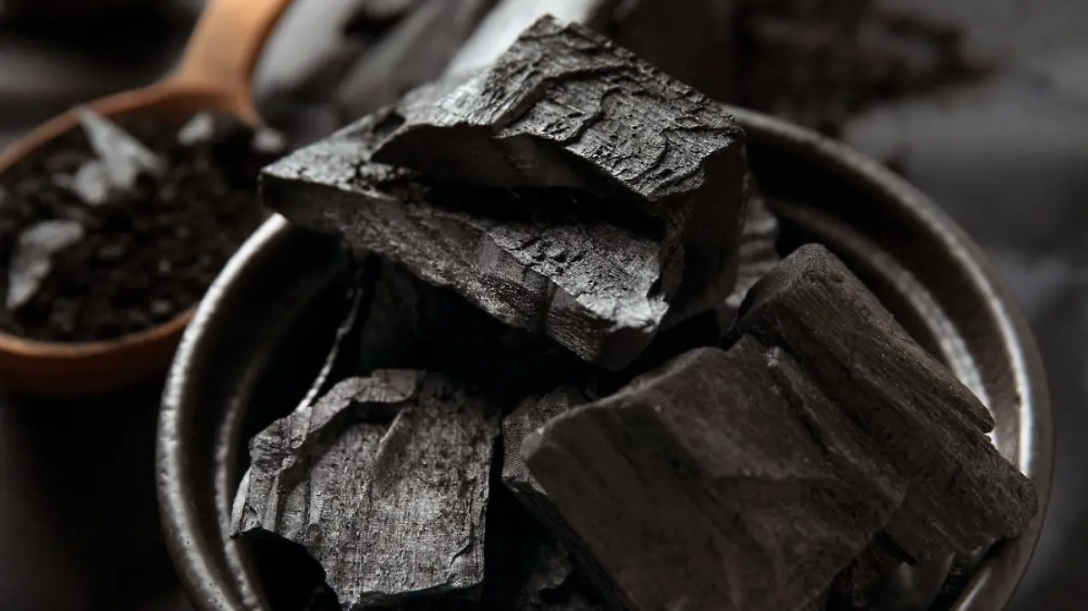 bodegon cenizas carboncillo