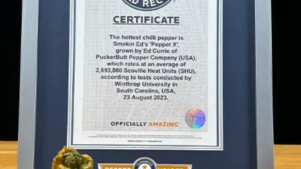 pepper x with its certificate tcm29 759765