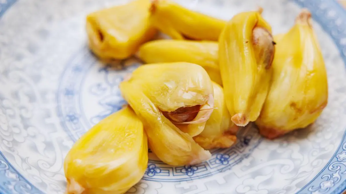 Artocarpus heterophyllus Fruit 9 123