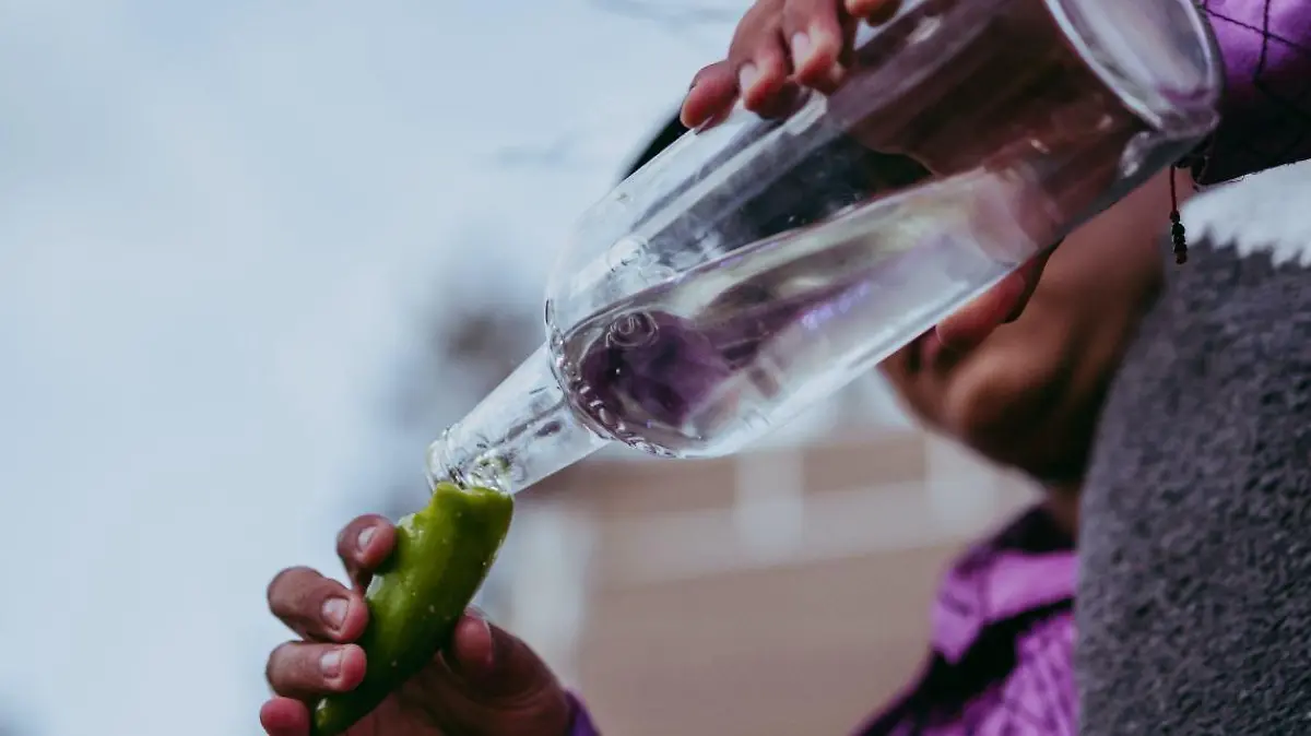 pexels isai matus 14087306 1 123