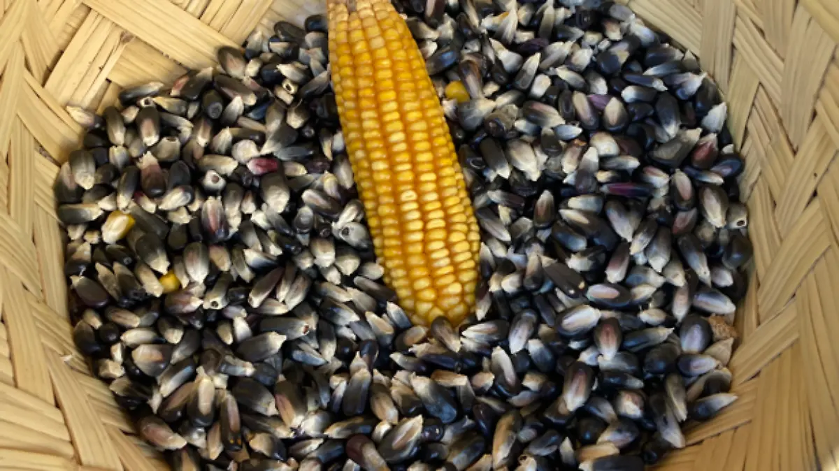 Captura de pantalla 2023 09 19 183017