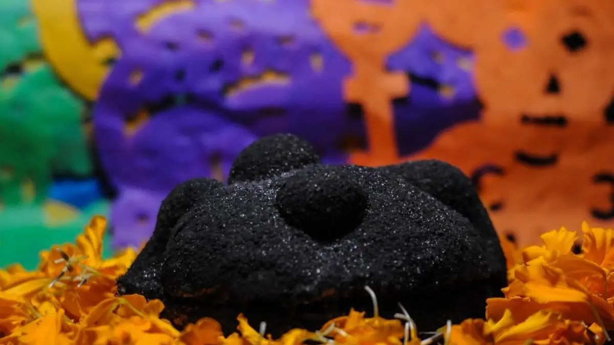 WhatsApp Image 2023 11 01 at 12.24.39 PM 3