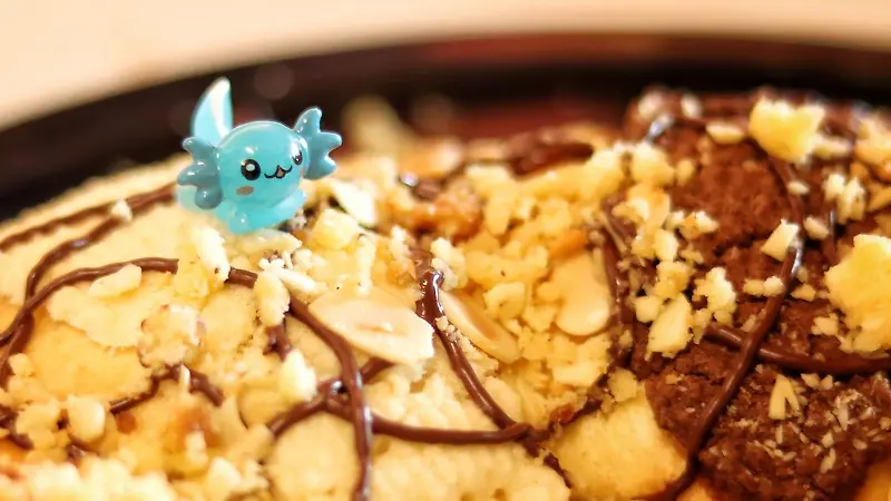 Foto: Roberto Hernández