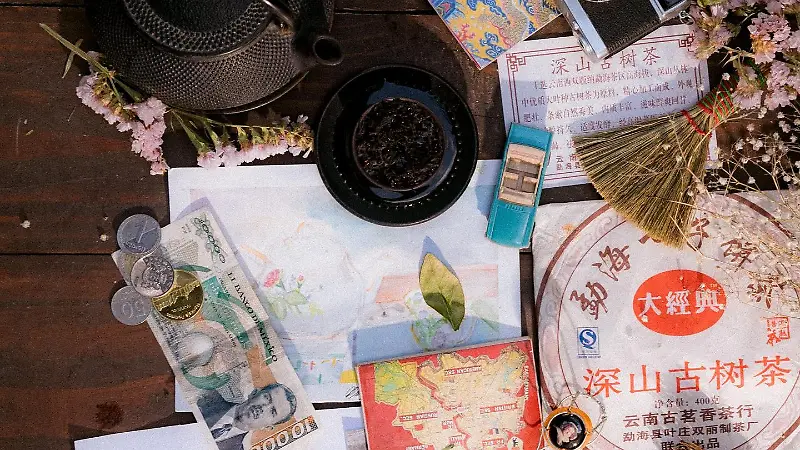 372019235 783288510466792 3087014151118295033 n