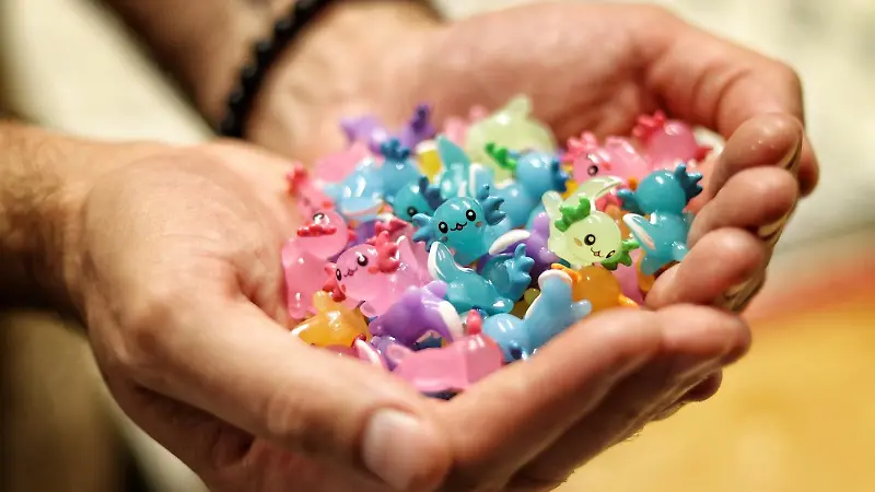 Rosca de Reyes panaderia reyes magos