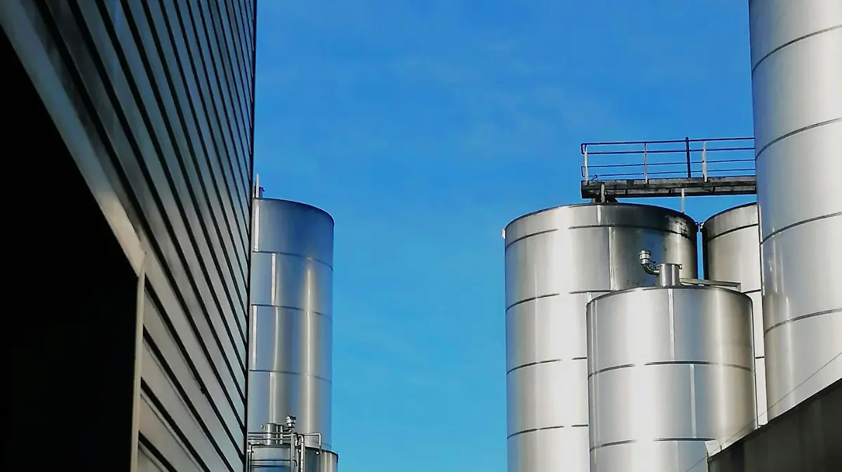 272206290 344005137726511 5791526191744914535 n