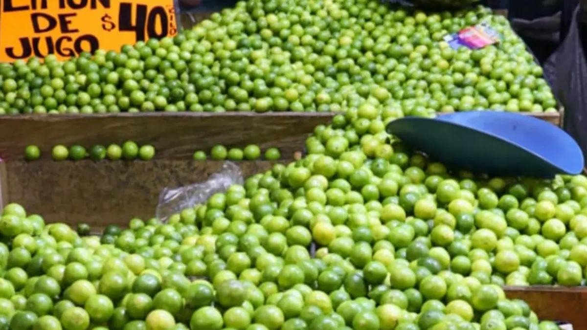 Foto: Romina Solís|El Sol de México