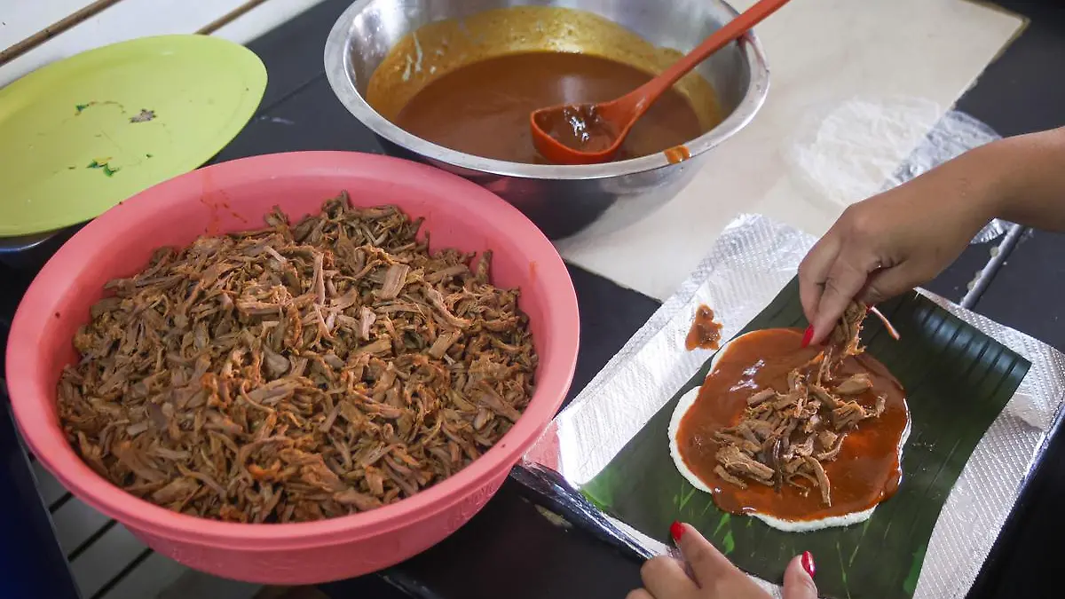 20240124112518 1B8A8026 1