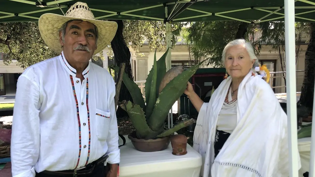 IMG 9976 de tamano grande