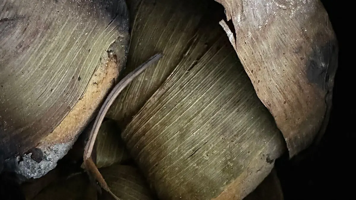 WhatsApp Image 2023 11 27 at 5.07.55 PM