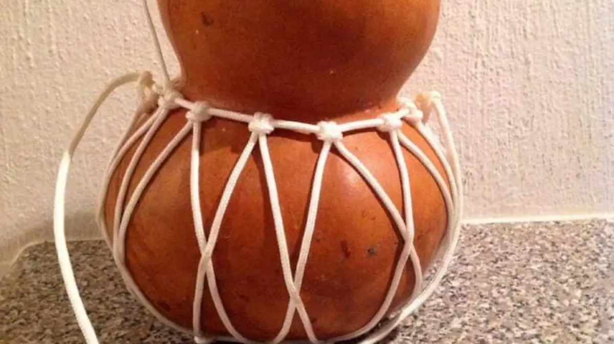 52786764 2161434477254432 8003689977210732544 n