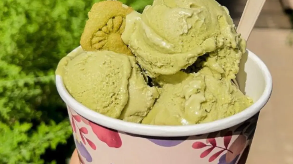 Helados con hongos 3