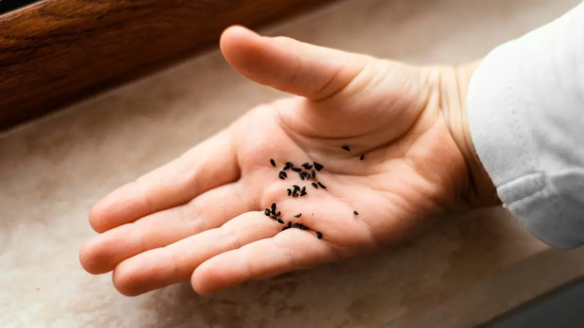 alto angulo nino sosteniendo tierra plantas su palma