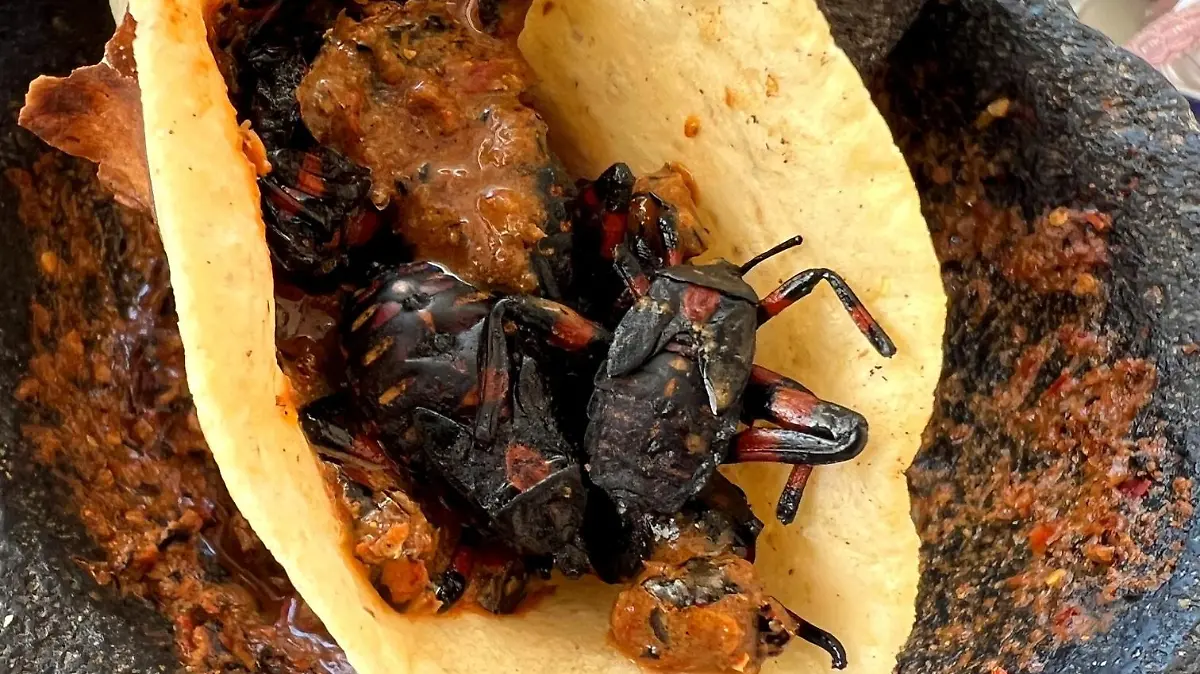 289229821 3133340733583909 142850869768201439 n