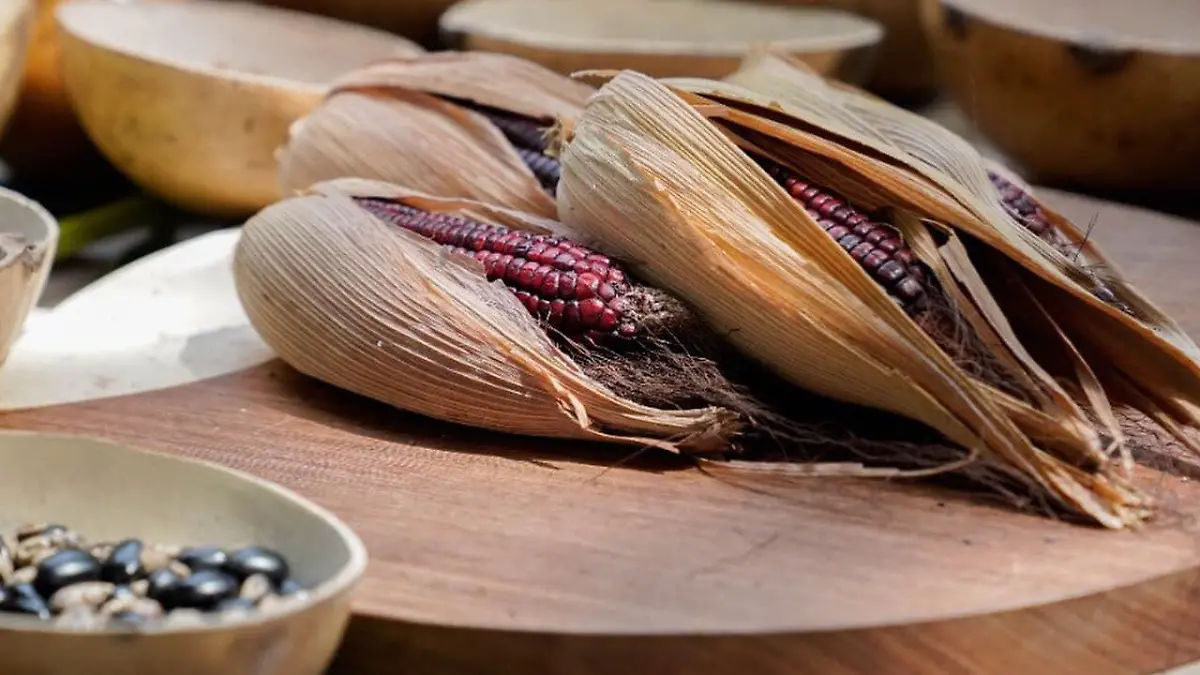 311159220 3497439963833756 2374689892019798575 n