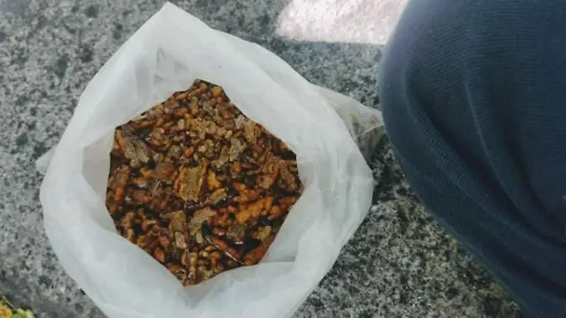 234720254 4325318000890541 7372904588612087165 n