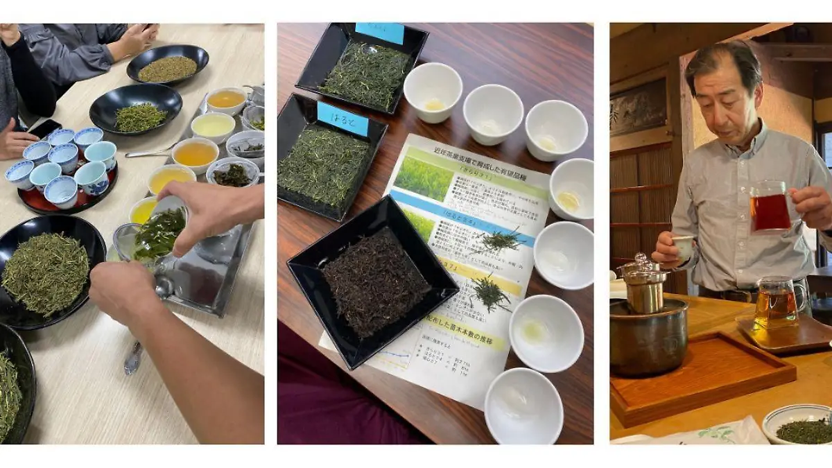 3 DEGUSTACIÓN Y CATA DE TÉ