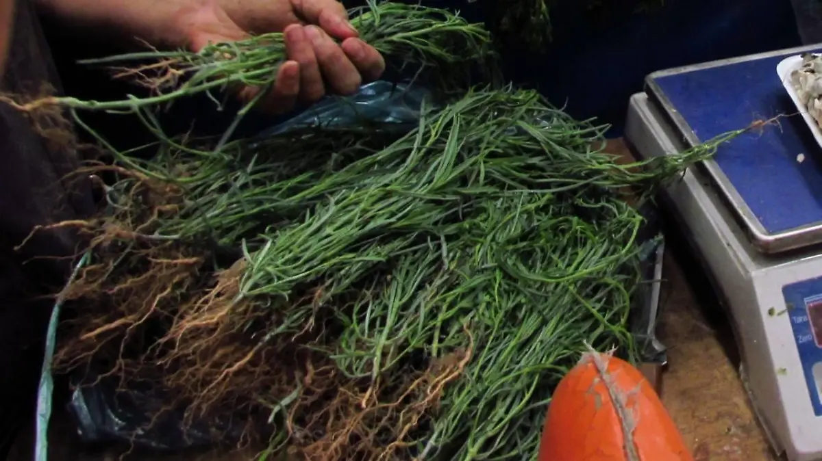 27624557 1967445646617333 3052088076952345866 o