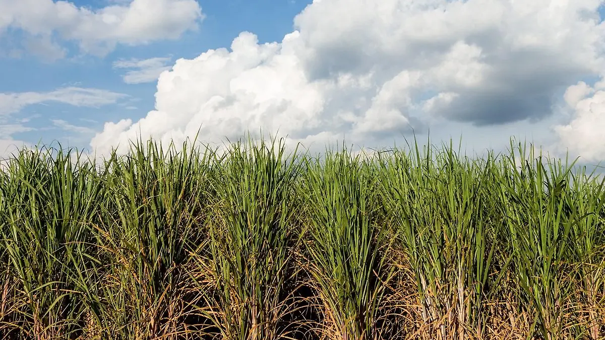 130543910 2947364768820490 1259884837326356441 n