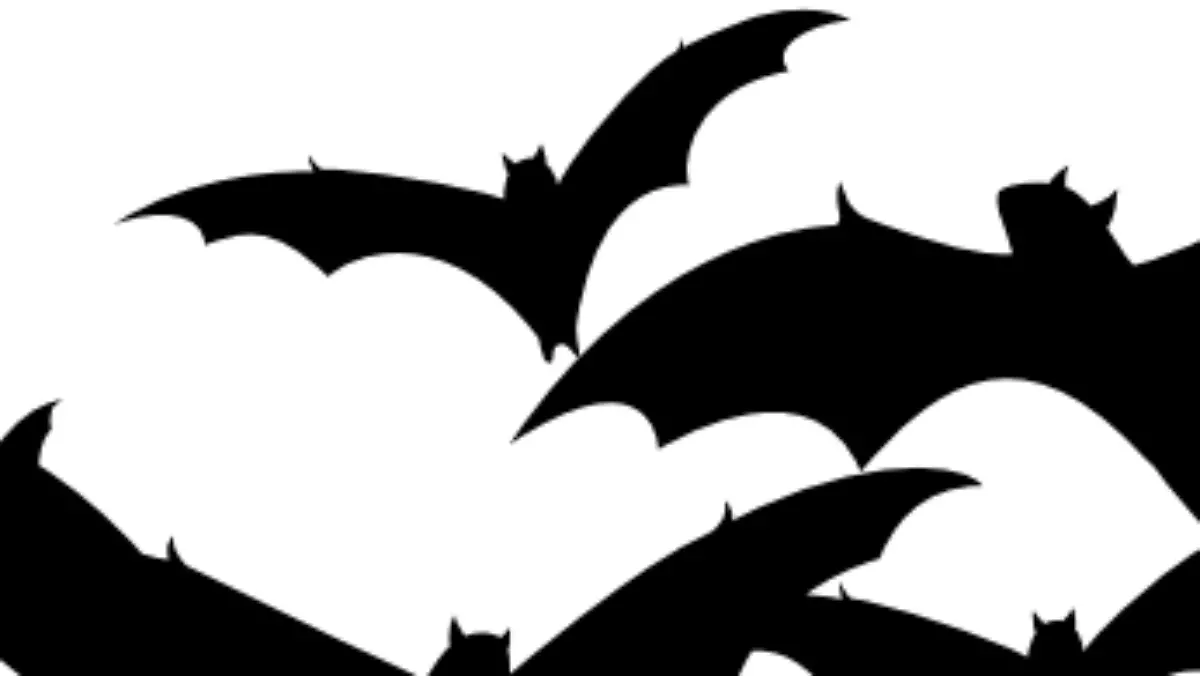 Captura de pantalla 2024 03 22 a las 14.49.00 4