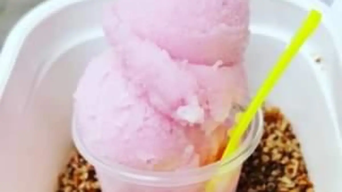 2 Nieve xoconostle helados artesanales San Diego