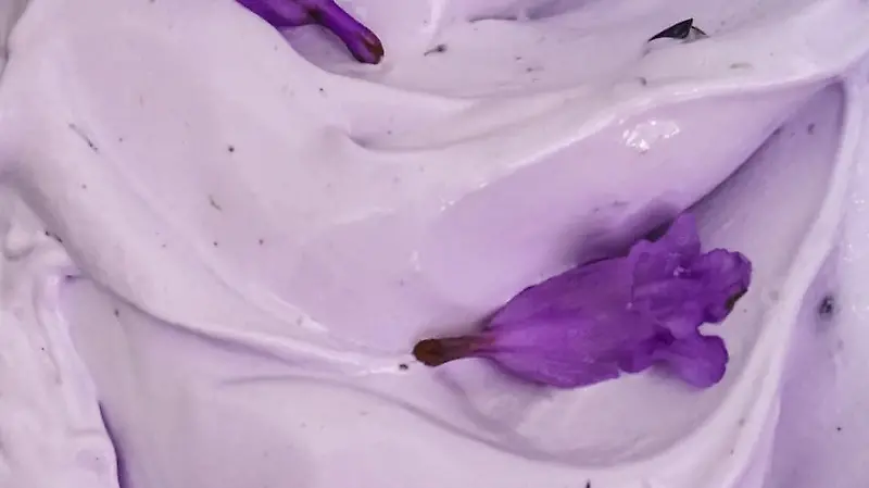 277586267 8028962653787835 2998430616518318262 n