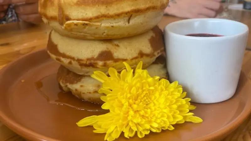 CAMELIA DESAYUNOS (1)